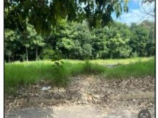 Imagem do imóvel TE80159